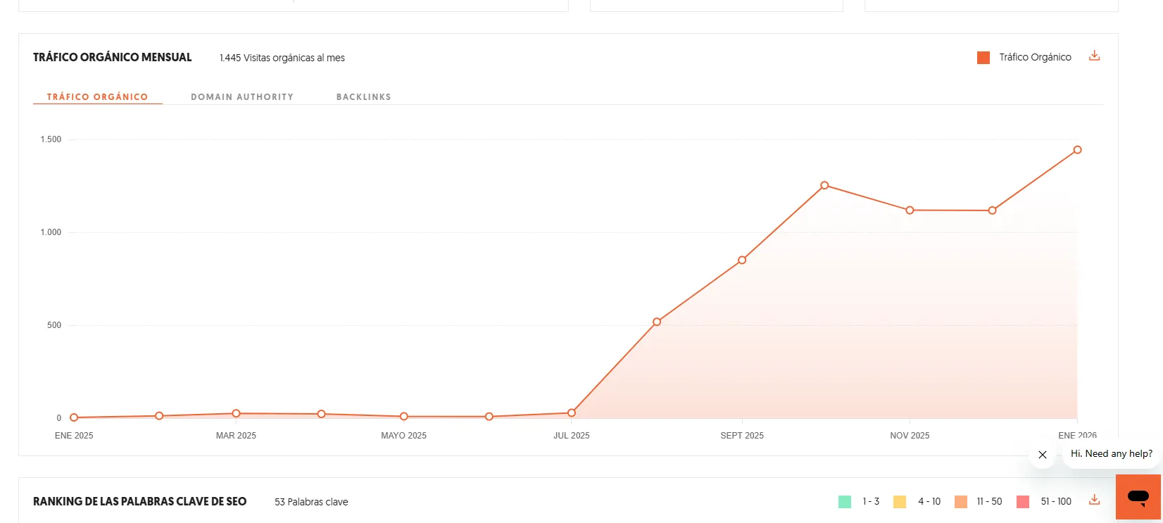 SEO Agency in Paraguay results